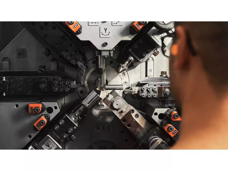 wafios dettaglio 1 - WEB.webp